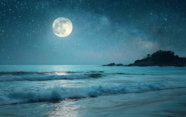 Banana Cove Moonlight Nights